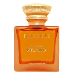 Birkholz - Mornings in Milano