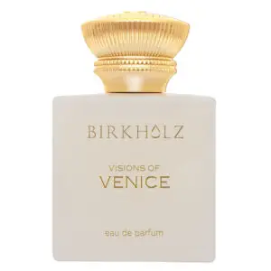 Birkholz - Visions of Venice