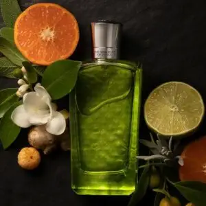 The Merchant of Venice - Colonia Veneziana _ Versandkostenfrei _ tresorclinic(1)