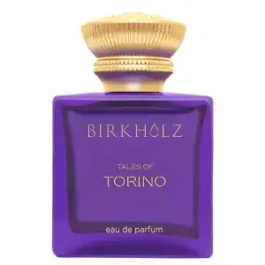 Birkholz - Tales of Torino