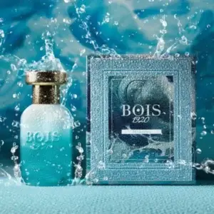 Bois1920_Marasma_TresorClinic_03