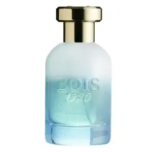 Bois 1920 - Marasma