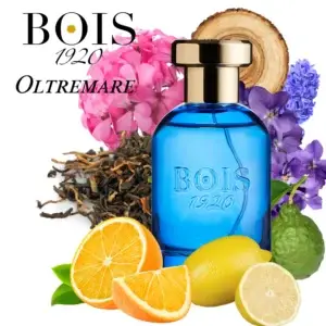 Bois1920_Oltremare_TresorClinic_03