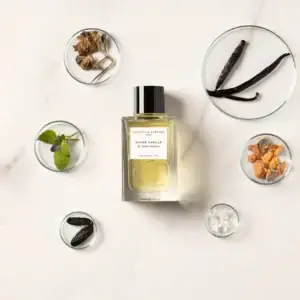 Divine Vanille_100ML_tresorclinic_kostenloser_versand_03TC