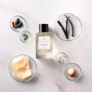 Rose_Magnetic_100ML_tresorclinic_kostenloser_versand_03TC